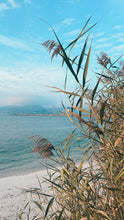 Load image into Gallery viewer, Camino de Santiago Retreat May 27th-June 2nd, 2026 : A walking retreat where every step is a story and every path leads to self-discovery
