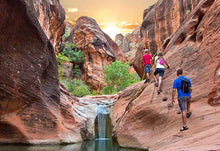 Load image into Gallery viewer, Unplugged in Zion : An End-of-Summer Adventure to Reconnect, Recharge, and Remember What Matters Most
