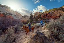 Load image into Gallery viewer, Unplugged in Zion : An End-of-Summer Adventure to Reconnect, Recharge, and Remember What Matters Most
