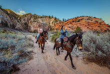 Load image into Gallery viewer, Unplugged in Zion : An End-of-Summer Adventure to Reconnect, Recharge, and Remember What Matters Most
