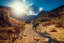 Load image into Gallery viewer, Unplugged in Zion : An End-of-Summer Adventure to Reconnect, Recharge, and Remember What Matters Most
