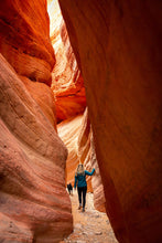 Load image into Gallery viewer, Unplugged in Zion : An End-of-Summer Adventure to Reconnect, Recharge, and Remember What Matters Most
