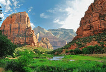 Load image into Gallery viewer, Unplugged in Zion : An End-of-Summer Adventure to Reconnect, Recharge, and Remember What Matters Most
